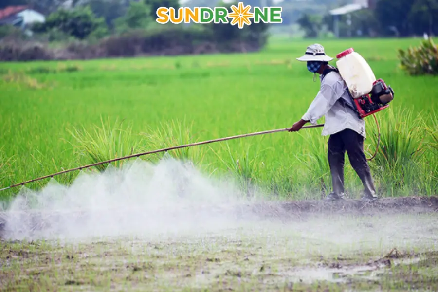 phương pháp phun thuốc trừ sâu cho su su