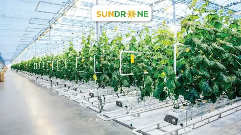 nông nghiệp công nghệ cao