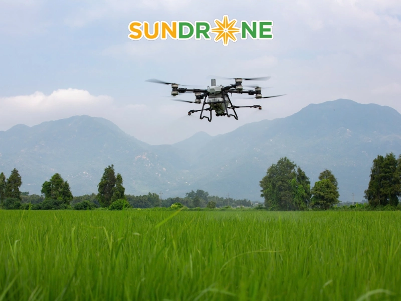 Ứng dụng hiệu quả của DJI T100 trên đồng ruộng Việt Nam
