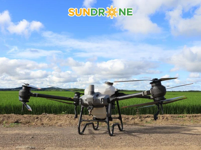 sạ lúa bằng máy bay sạ lúa bằng máy bay