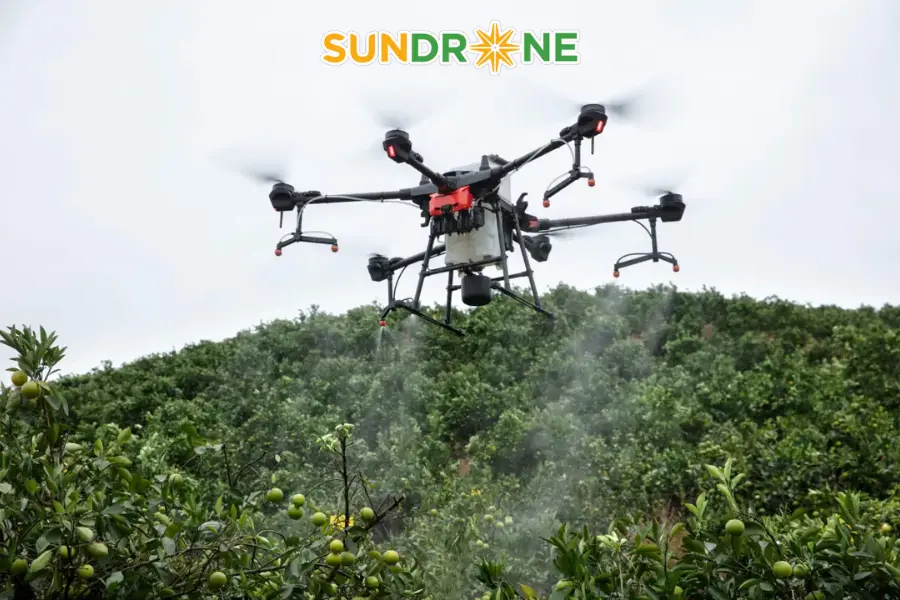 Ứng dụng thực tế của DJI Agras T20P trong nông nghiệp