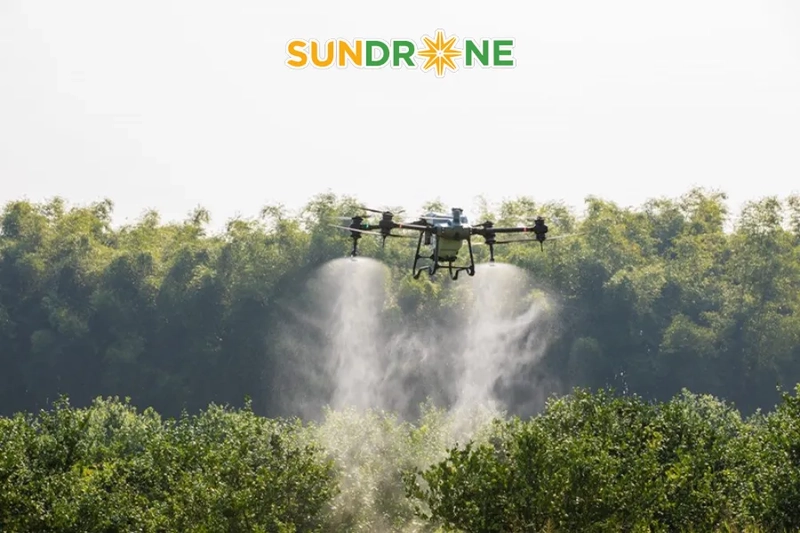 Đánh Giá DJI T50 Từ Trải Nghiệm Bay Thực Tế Sau 3 Năm Sử Dụng