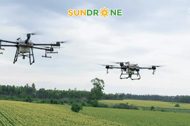 Lưu ý chăm sóc lúa sau khi sạ bằng máy Lưu ý chăm sóc lúa sau khi sạ bằng máy