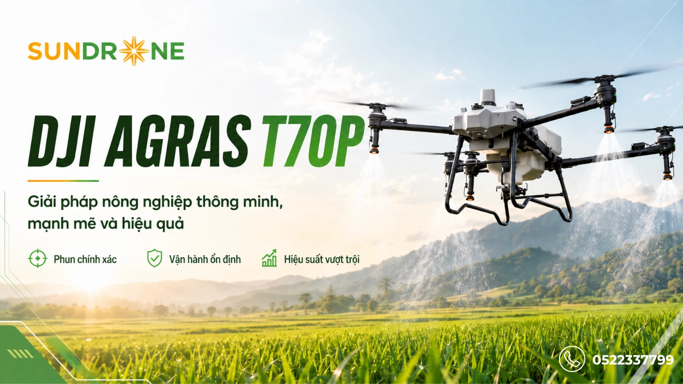 sundrone