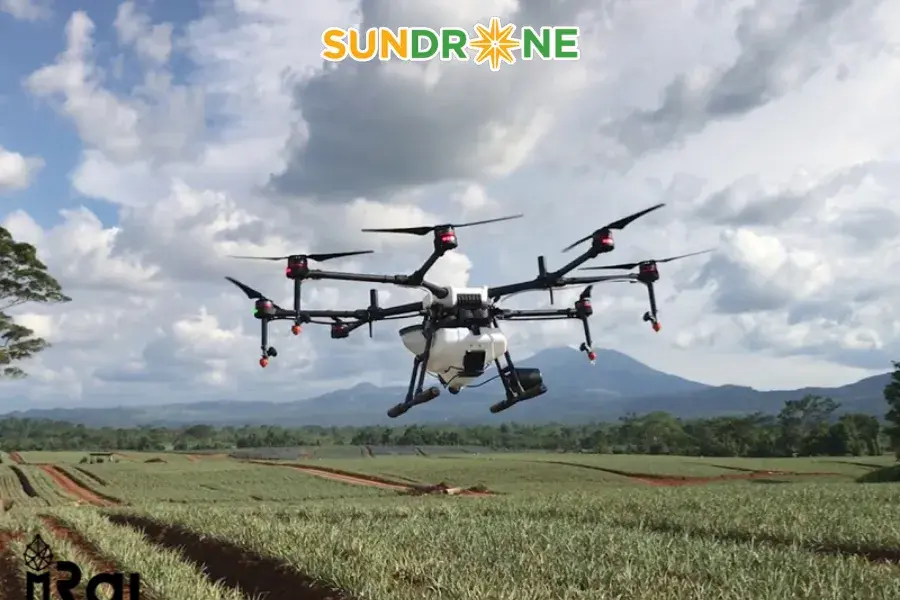 Phương pháp bón phân bằng drone cho cây dừa đúng kỹ thuật, phát triển tốt 