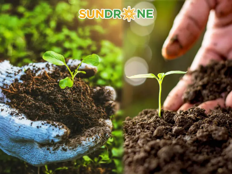 Quản lý đất và dinh dưỡng