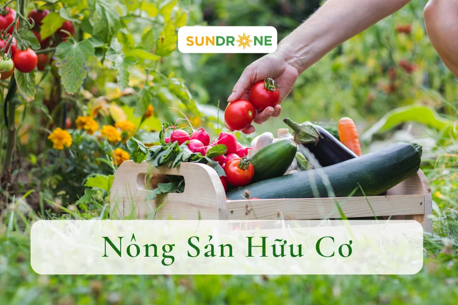 Nông Sản Hữu Cơ Là Gì? Tiêu Chuẩn Đánh Giá Nông Sản Hữu Cơ