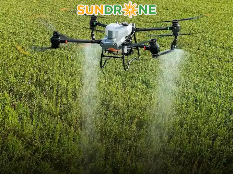 DJI Agras T50 sử dụng cho quy mô vừa
