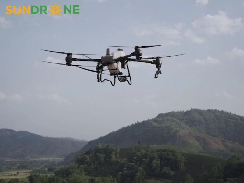 có nên đầu tư máy bay phun thuốc trừ sâu