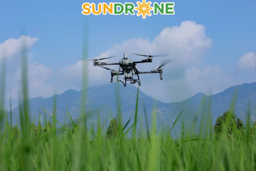 So sánh DJI Agras T70 và XAG P100 Pro: Hiệu suất 50L và Công nghệ Radar