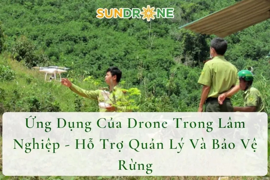 Ứng Dụng Của Drone Trong Lâm Nghiệp - Hỗ Trợ Quản Lý Và Bảo Vệ Rừng