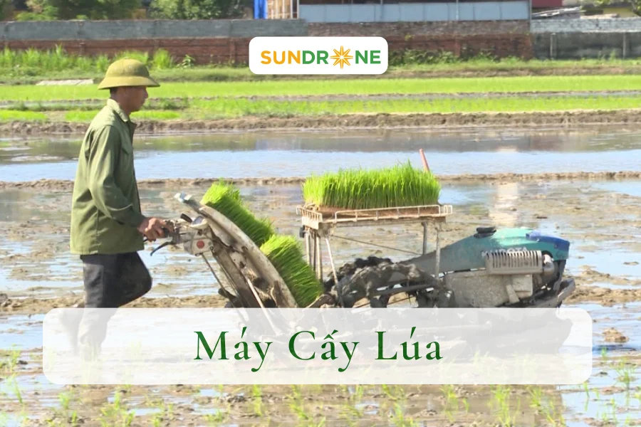 [Hướng Dẫn] Chọn Máy Cấy Lúa Giá Tốt, Phù Hợp Cho Bà Con