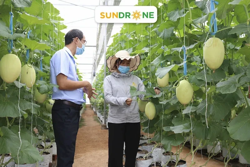 nông nghiệp công nghệ cao