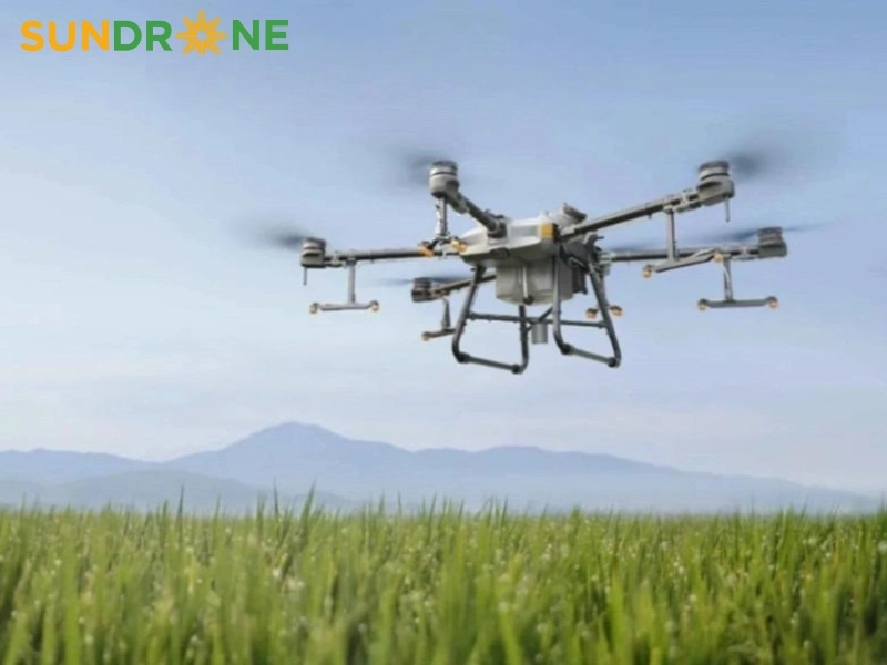 có nên đầu tư máy bay phun thuốc trừ sâu