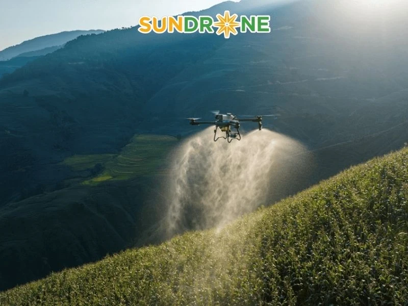 So sánh nhanh chi phí đầu tư T25P và các model lân cận