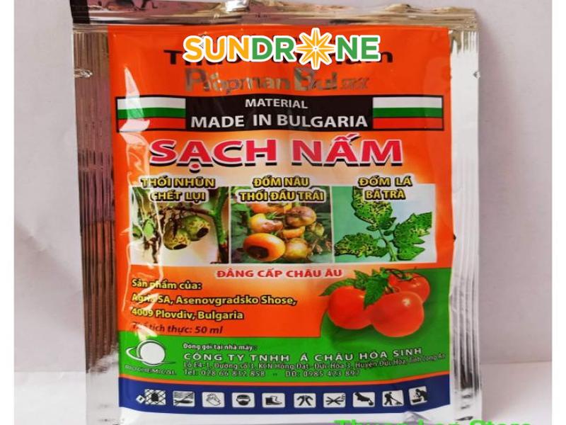 phương pháp gieo hạt cây cọ dầu  