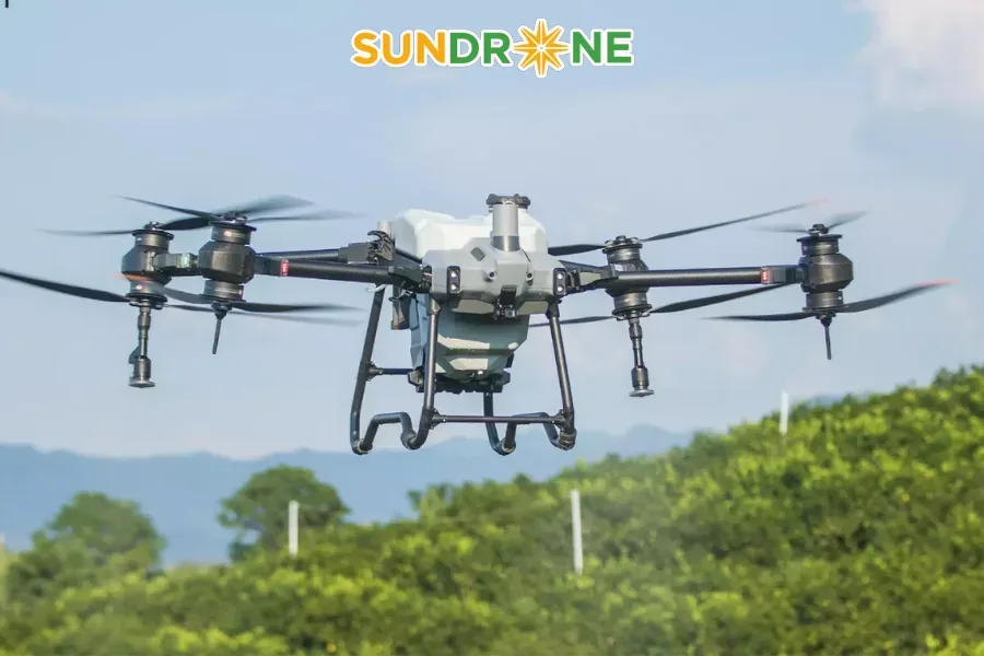 Bón phân đúng kỹ thuật bằng drone sẽ giúp nho của bạn phát triển tốt 