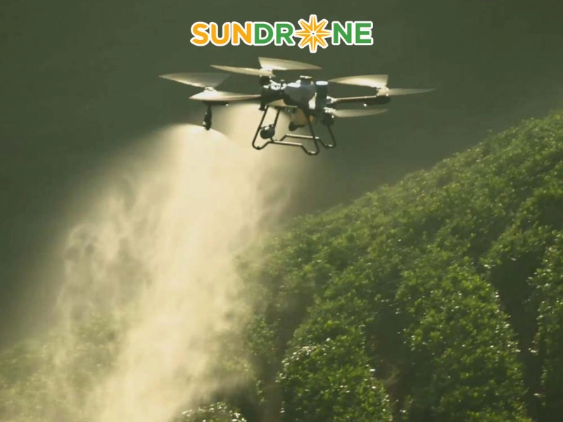 Những lưu ý an toàn bắt buộc khi sử dụng T25P