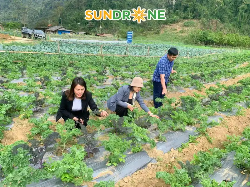 Thách thức và triển vọng phát triển của nông nghiệp hữu cơ