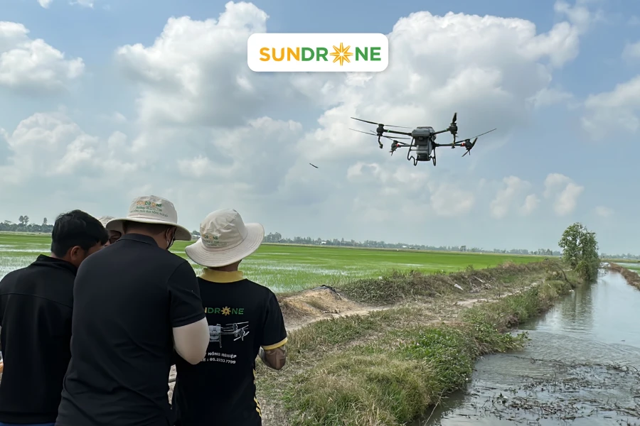 Ai sẽ trực tiếp huấn luyện bạn?