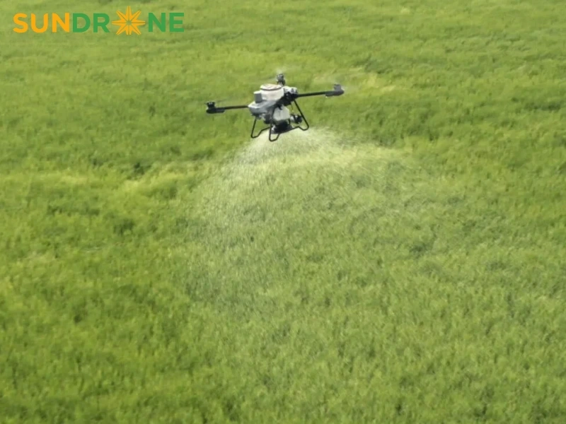 có nên đầu tư máy bay phun thuốc trừ sâu