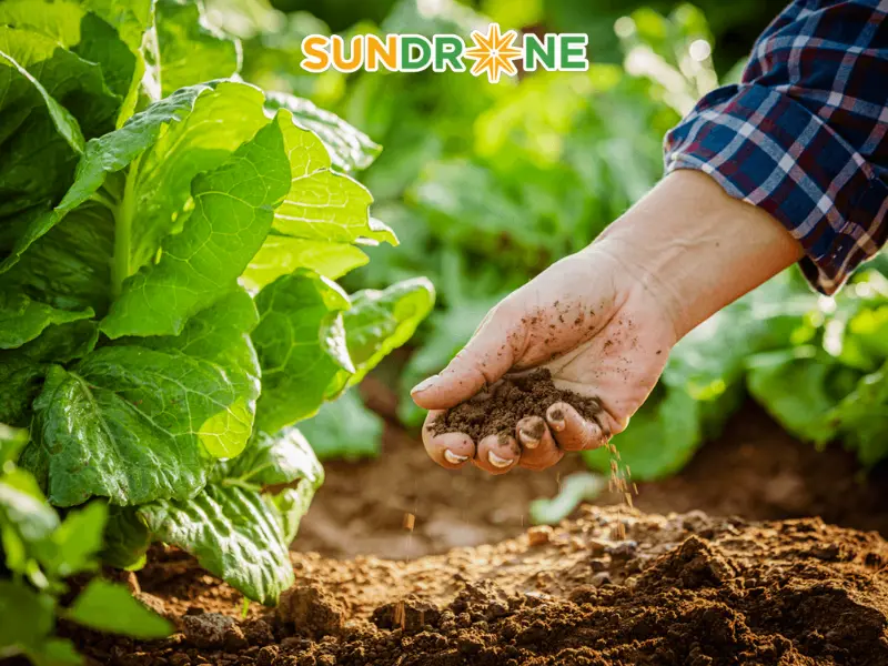 nông nghiệp hữu cơ