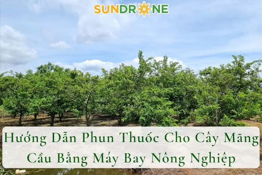 Hướng Dẫn Phun Thuốc Cho Cây Mãng Cầu Bằng Máy Bay Nông Nghiệp