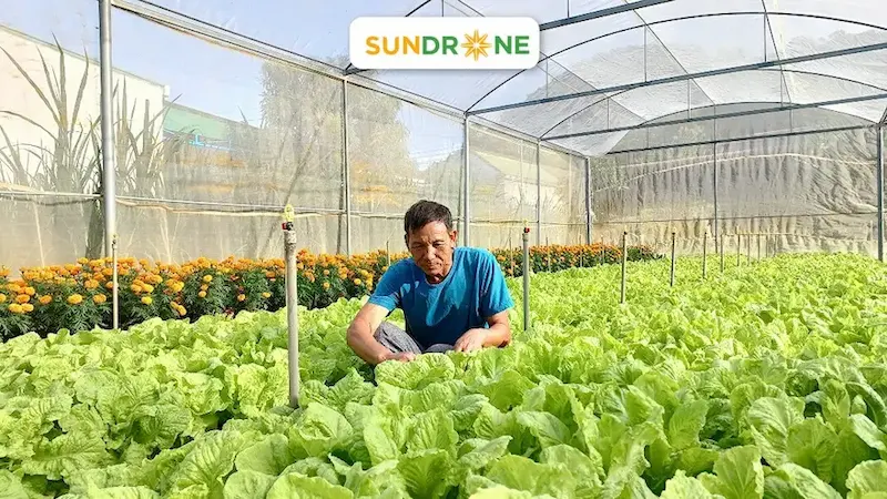 Đối tượng nào nên đầu tư máy bay nông nghiệp?