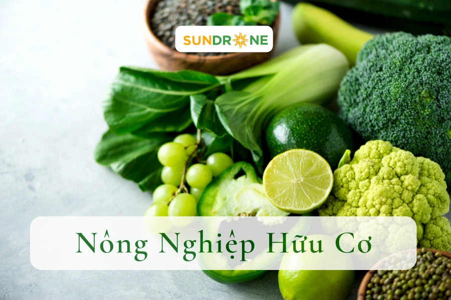 Nông Nghiệp Hữu Cơ Là Gì? Ưu Điểm Của Nông Nghiệp Hữu Cơ