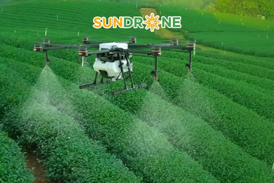 Hướng dẫn sạ lúa bằng máy bay nông nghiệp đúng cách 