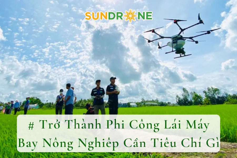 Trở Thành Phi Công Lái Máy Bay Nông Nghiêp Cần Tiêu Chí Gì