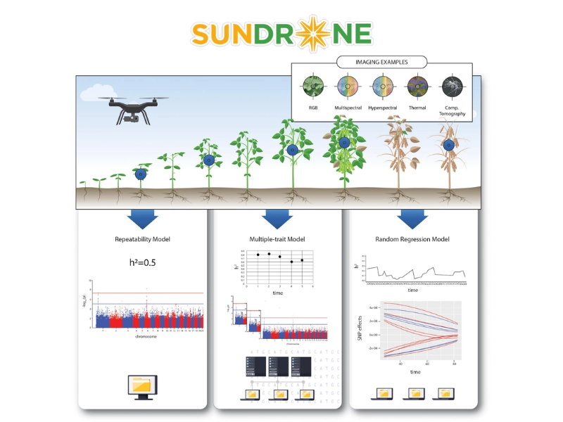 Đọc và Phân tích chỉ số sức khỏe cây