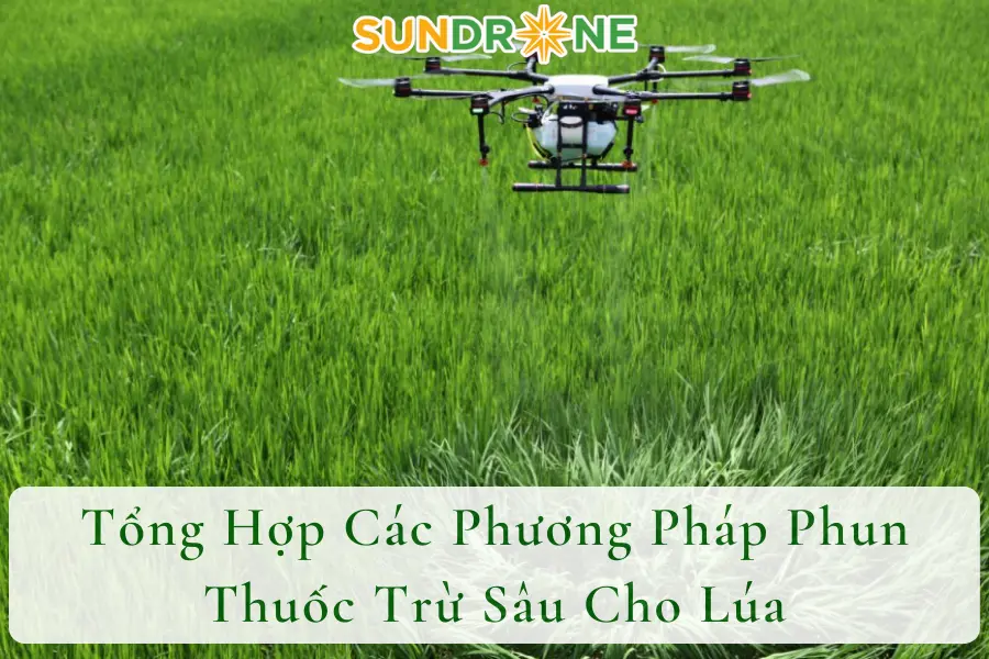 Tổng Hợp Các Phương Pháp Phun Thuốc Trừ Sâu Cho Lúa