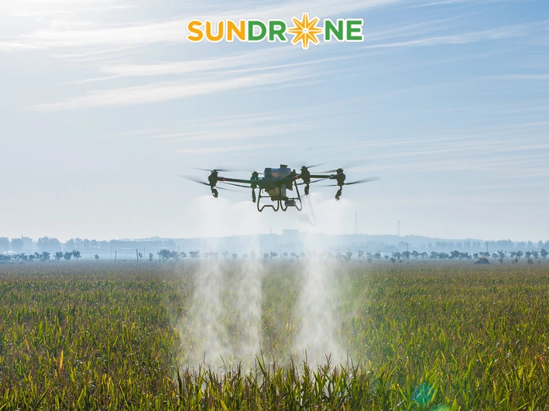 Những nhược điểm và hạn chế cần cân nhắc