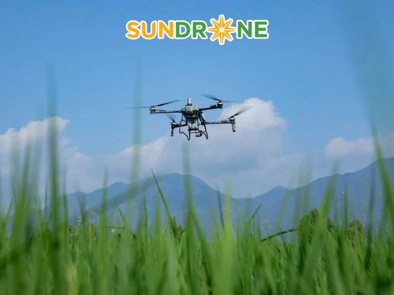 Hiệu quả thực tế của DJI Agras T70 trên đồng ruộng Việt Nam