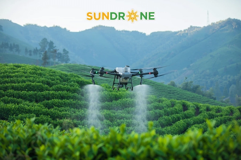 Các dòng máy bay nông nghiệp DJI phổ biến hiện nay