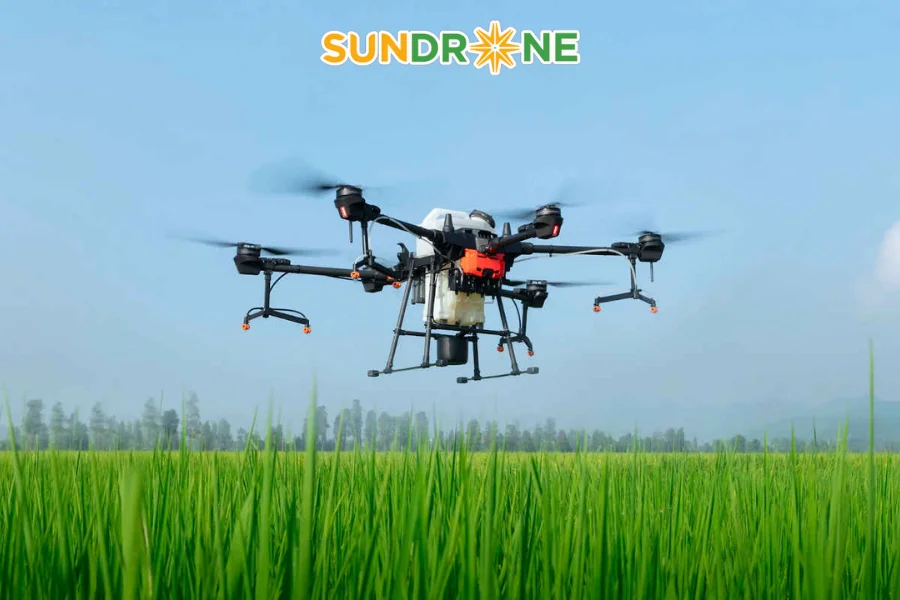 Lợi ích khi đầu tư DJI T20P cho nông trại của bạn