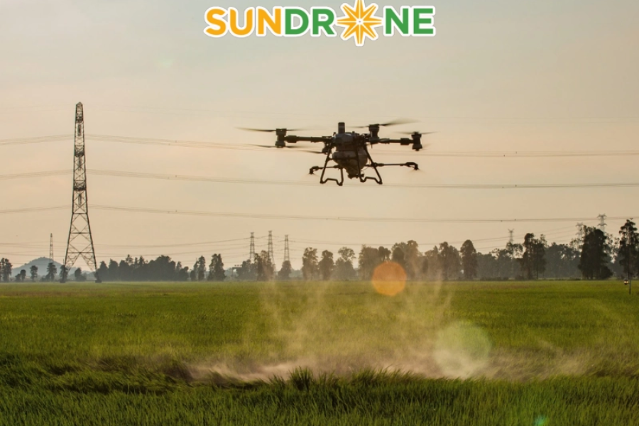 So Sánh DJI Agras T100 Và T70P: Nên Chọn Drone Nào Phù Hợp?