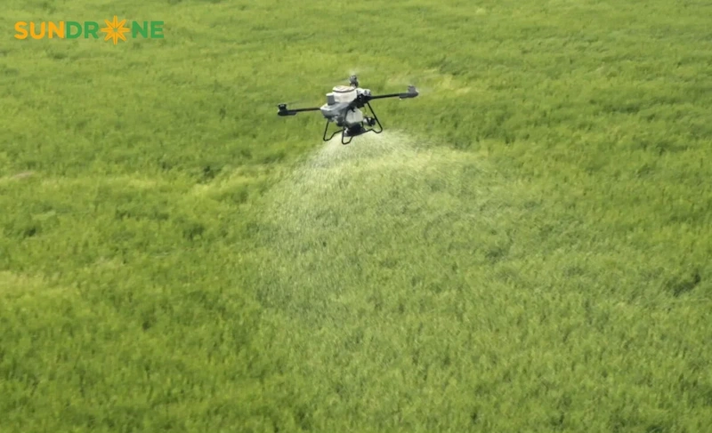 máy gieo hạt ngô