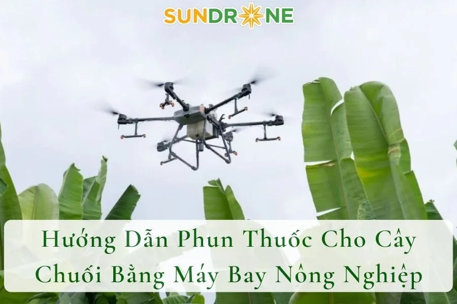 Hướng Dẫn Phun Thuốc Cho Cây Chuối Bằng Máy Bay Nông Nghiệp