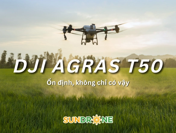 sundrone